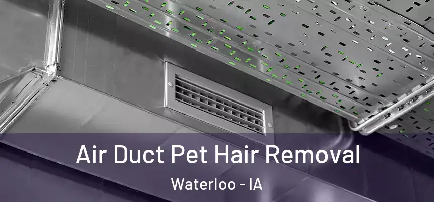 Air Duct Pet Hair Removal Waterloo - IA