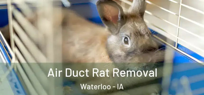 Air Duct Rat Removal Waterloo - IA
