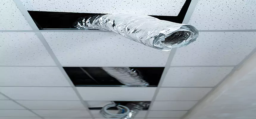 Our Air Duct Pet Hair Removal Services in Waterloo, IA