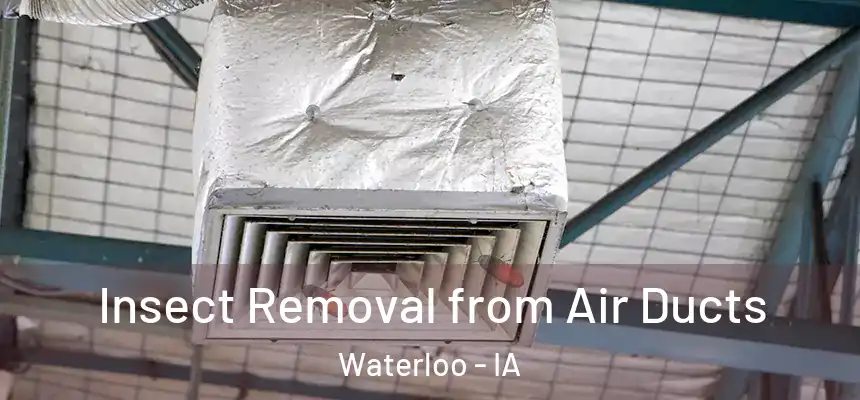 Insect Removal from Air Ducts Waterloo - IA
