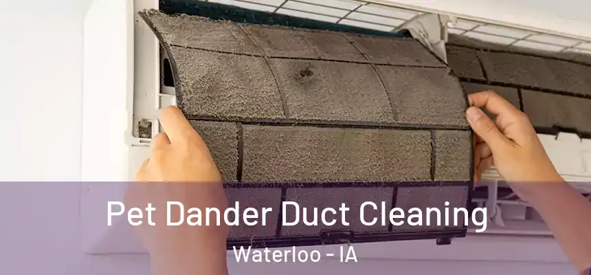 Pet Dander Duct Cleaning Waterloo - IA