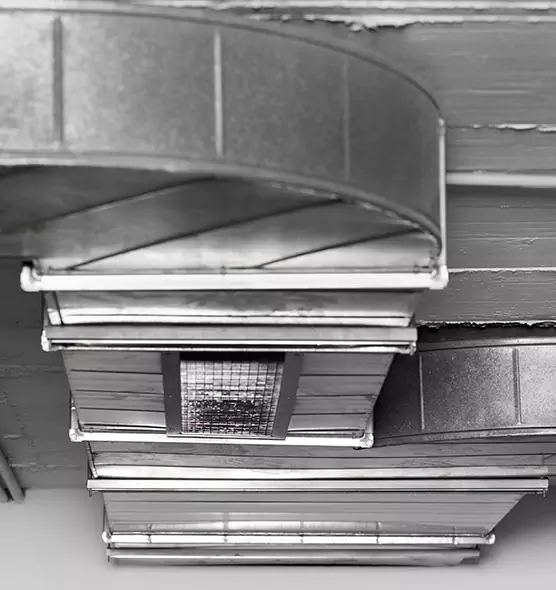 Professional Air Duct Pest Removal in Waterloo, IA