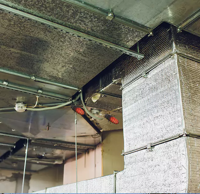 Why Homeowners & Businesses Trust Us in Waterloo, IA?