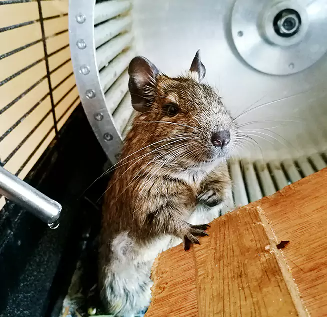 Why Homeowners & Businesses Trust Us Waterloo, IA?